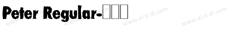 Peter Regular字体转换